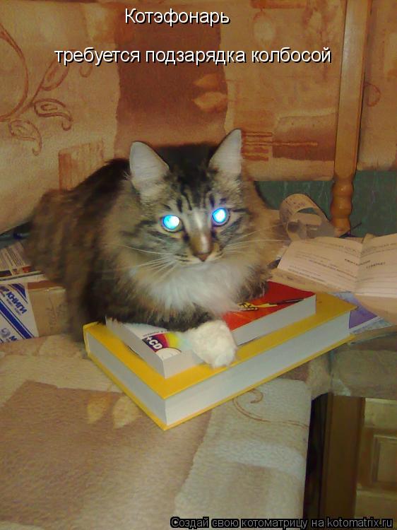 Котоматрица: Котэфонарь требуется подзарядка колбосой