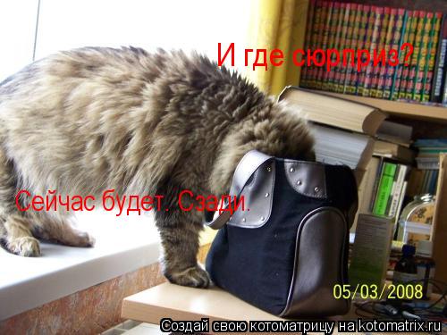 Котоматрица: И где сюрприз? Сейчас будет. Сзади.