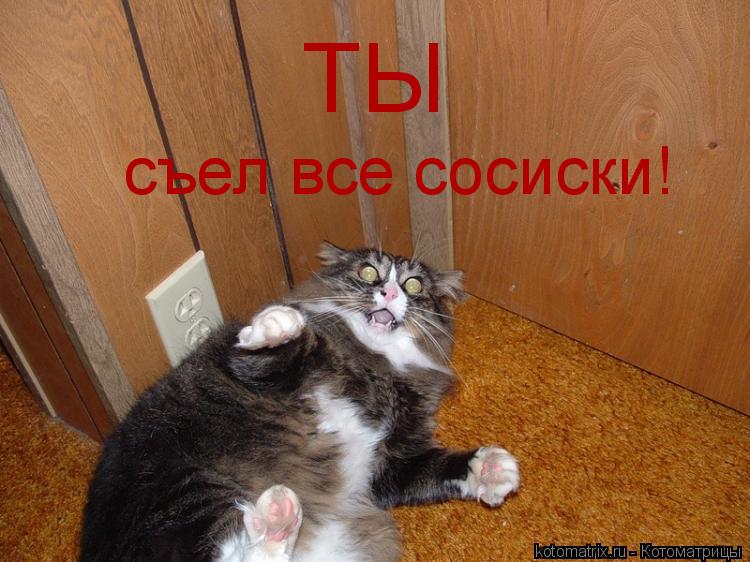 Котоматрица: ТЫ съел все сосиски!