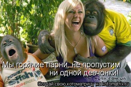 Котоматрица: Мы,горячие парни, не пропустим ни одной девчонки!