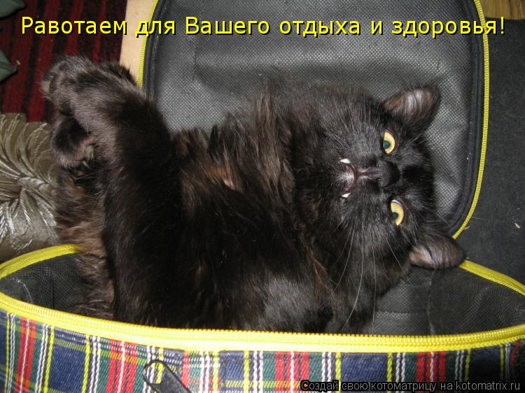 Котоматрица: Равотаем для Вашего отдыха и здоровья!