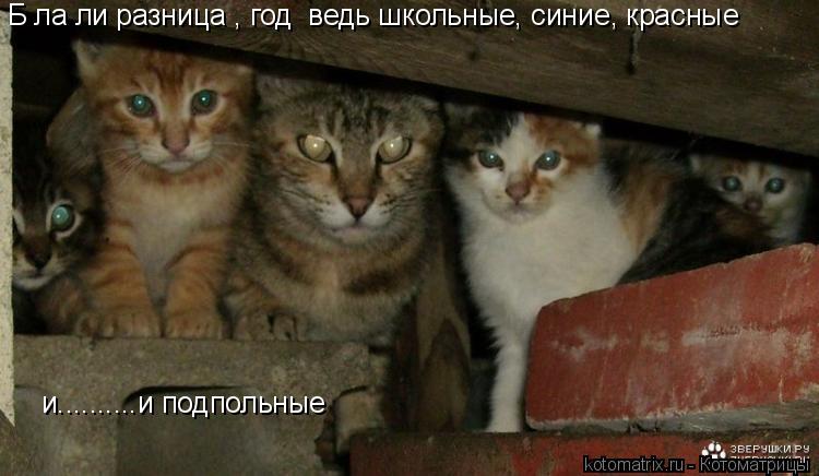 Біла ли разница , годі ведь школьные, синие, красные и..........и подпольные... Котоматрица: Біла ли разница , годі ведь школьные, синие, красные и..........и подпольные