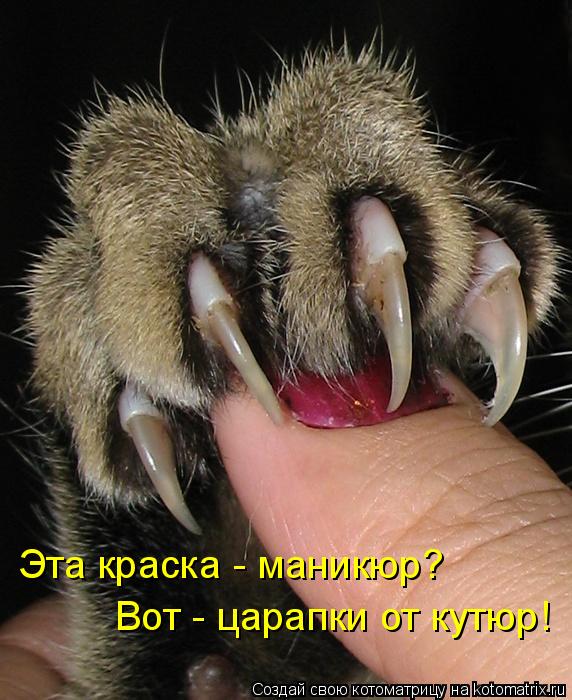 Эта краска - маникюр? Вот - царапки от кутюр!... Котоматрица: Эта краска - маникюр? Вот - царапки от кутюр!