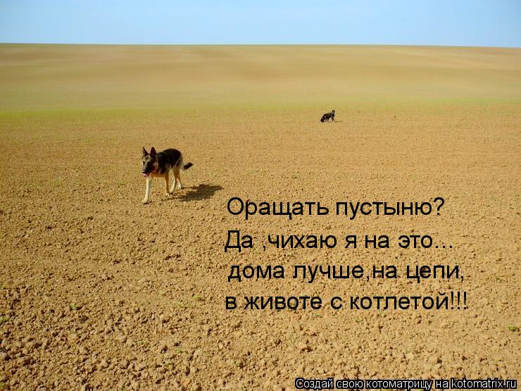 Оращать пустыню? Да ,чихаю я на это... дома лучше,на цепи, в животе с котлетой!!!... Котоматрица: Оращать пустыню? Да ,чихаю я на это... дома лучше,на цепи, в животе с котлетой!!!