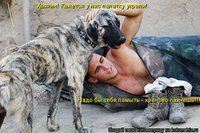 Котоматрица: Хозяин! Кажется у нас палатку украли! Надо бы тебя помыть - хреново пахнешь!!!