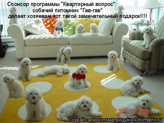 Спонсор программы "Квартирный вопрос" собачий питомник "Гав-гав" делает хозяевам вот такой замечатель... Котоматрица: Спонсор программы "Квартирный вопрос" собачий питомник "Гав-гав" делает хозяевам вот такой замечательный подарок!!!!