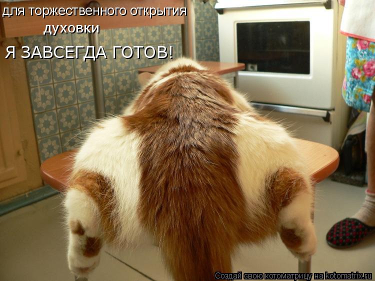 Котоматрица: для торжественного открытия духовки Я ЗАВСЕГДА ГОТОВ!