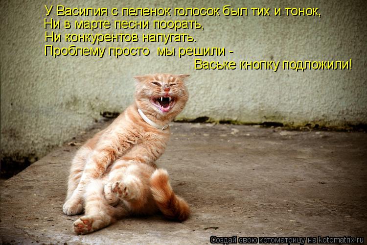 У Василия с пеленок голосок был тих и тонок, Ни в марте песни поорать, Ни конкурентов напугать. Пр... Котоматрица: У Василия с пеленок голосок был тих и тонок, Ни в марте песни поорать, Ни конкурентов напугать. Проблему просто мы решили - Ваське кнопку п