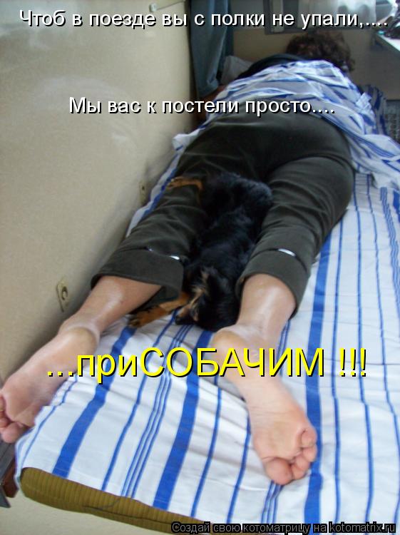 Чтоб в поезде вы с полки не упали,.... Мы вас к постели просто.... ...приСОБАЧИМ !!!... Котоматрица: Чтоб в поезде вы с полки не упали,.... Мы вас к постели просто.... ...приСОБАЧИМ !!!