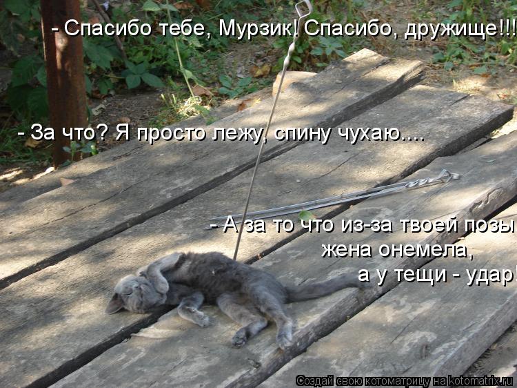 - Спасибо тебе, Мурзик! Спасибо, дружище!!! - За что? Я просто лежу, спину чухаю.... - А за то что из... Котоматрица: - Спасибо тебе, Мурзик! Спасибо, дружище!!! - За что? Я просто лежу, спину чухаю.... - А за то что из-за твоей позы, жена онемела, а у тещи - удар!