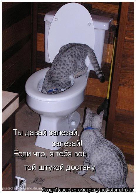 Ты давай залезай, залезай! Если что, я тебя вон той штукой достану.... Котоматрица: Ты давай залезай, залезай! Если что, я тебя вон той штукой достану.