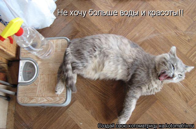 Не хочу больше воды и красоты!!... Котоматрица: Не хочу больше воды и красоты!!