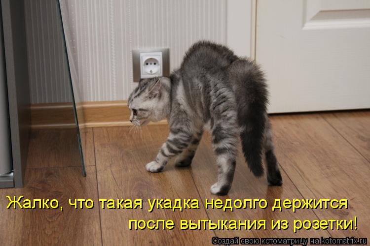 Жалко, что такая укадка недолго держится после вытыкания из розетки!... Котоматрица: Жалко, что такая укадка недолго держится после вытыкания из розетки!