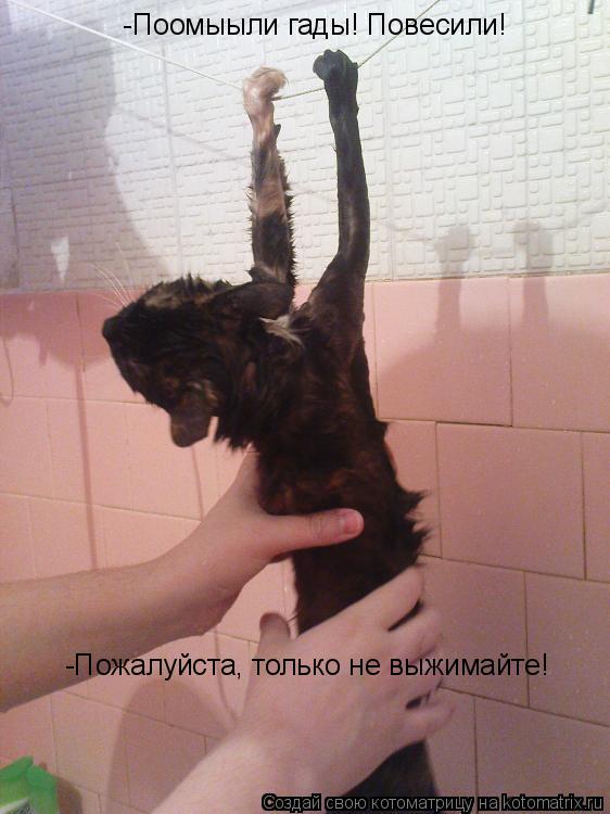 -Пожалуйста, только не выжимайте! -Поомыыли гады! Повесили!... Котоматрица: -Пожалуйста, только не выжимайте! -Поомыыли гады! Повесили!