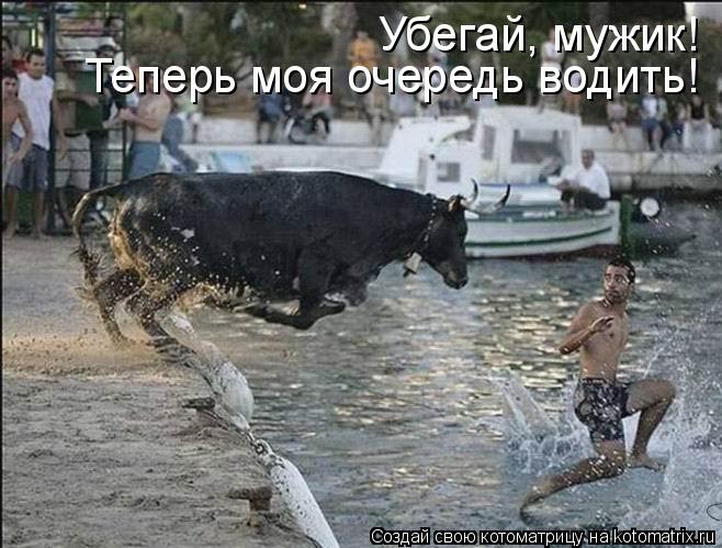 Убегай, мужик! Теперь моя очередь водить!... Котоматрица: Убегай, мужик! Теперь моя очередь водить!