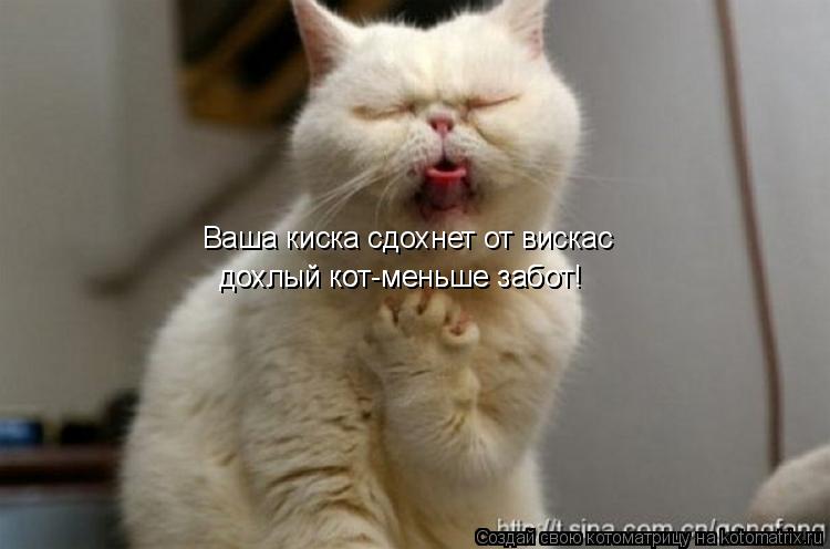 Котоматрица: Ваша киска сдохнет от вискас дохлый кот-меньше забот! дохлый кот-меньше забот!