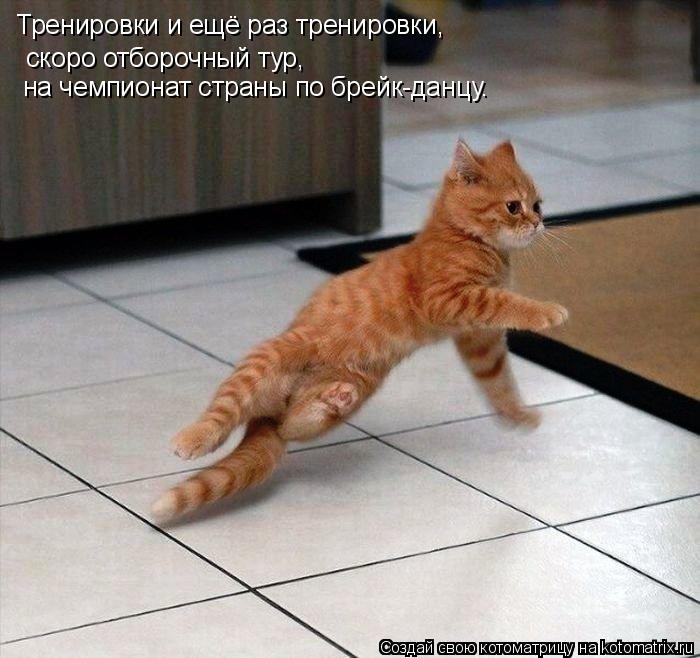 Тренировки и ещё раз тренировки, скоро отборочный тур, на чемпионат страны по брейк-данцу.... Котоматрица: Тренировки и ещё раз тренировки, скоро отборочный тур, на чемпионат страны по брейк-данцу.