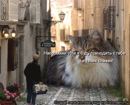 Котоматрица: Накормиии!Или я буду приходить к тебе в твоих снааах! в твоих снааах!