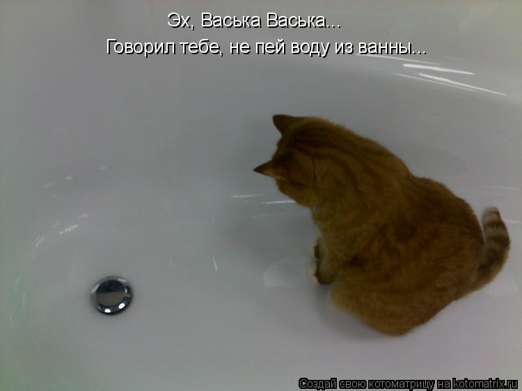 Эх, Васька Васька... Говорил тебе, не пей воду из ванны...... Котоматрица: Эх, Васька Васька... Говорил тебе, не пей воду из ванны...
