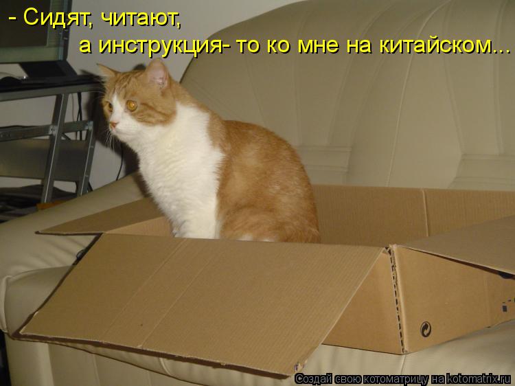 а инструкция- то ко мне на китайском... - Сидят, читают,... Котоматрица: а инструкция- то ко мне на китайском... - Сидят, читают,