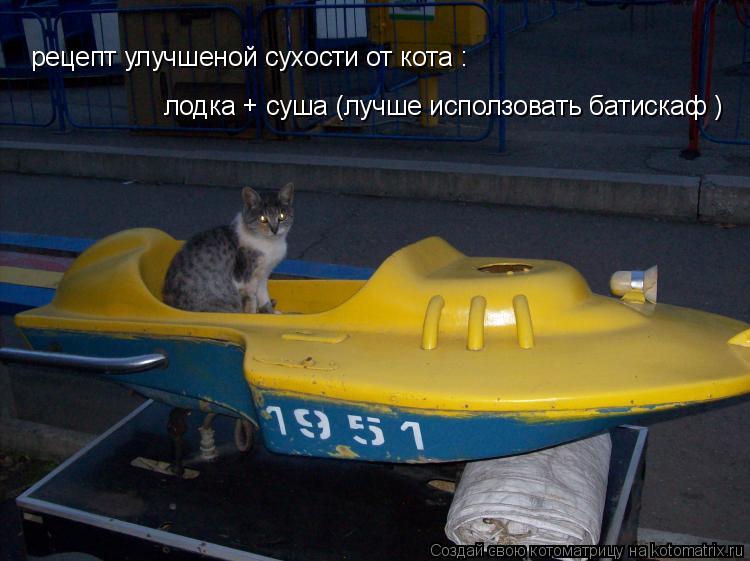 рецепт улучшеной сухости от кота : лодка + суша (лучше исползовать батискаф )... Котоматрица: рецепт улучшеной сухости от кота : лодка + суша (лучше исползовать батискаф )