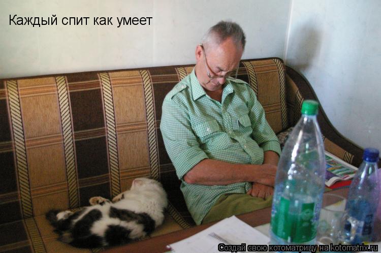Каждый спит как умеет... Котоматрица: Каждый спит как умеет