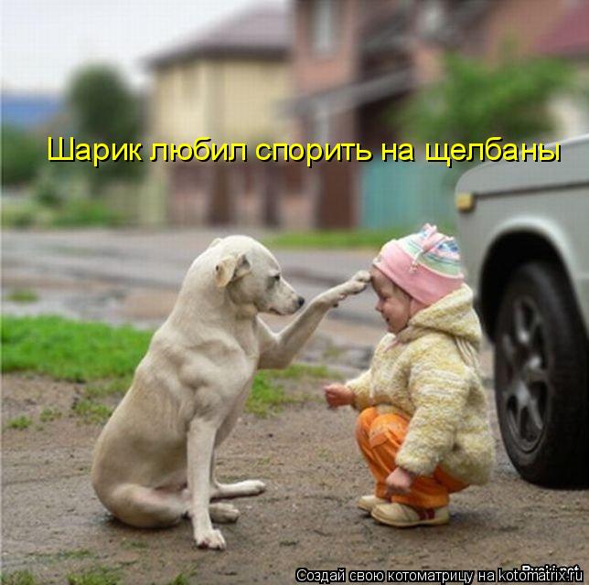 Шарик любил спорить на щелбаны... Котоматрица: Шарик любил спорить на щелбаны