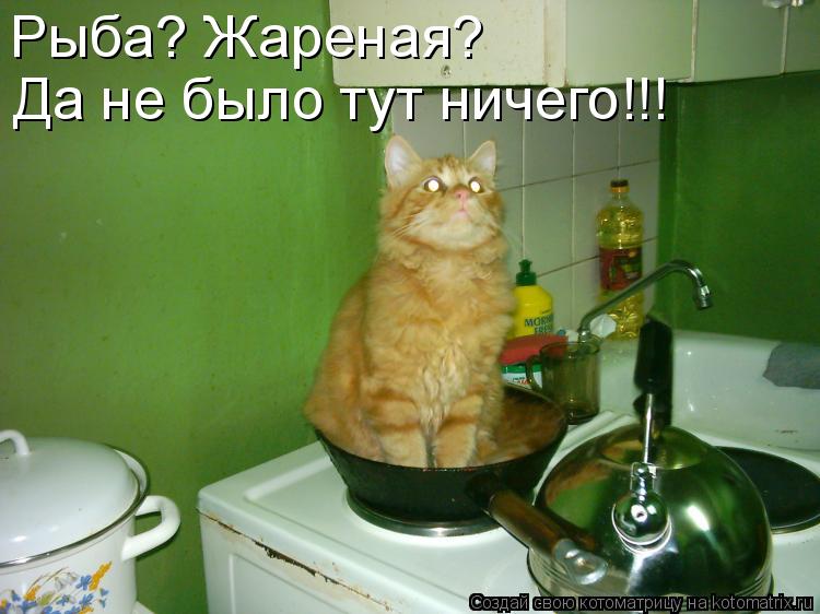 Котоматрица: Рыба? Жареная? Да не было тут ничего!!!