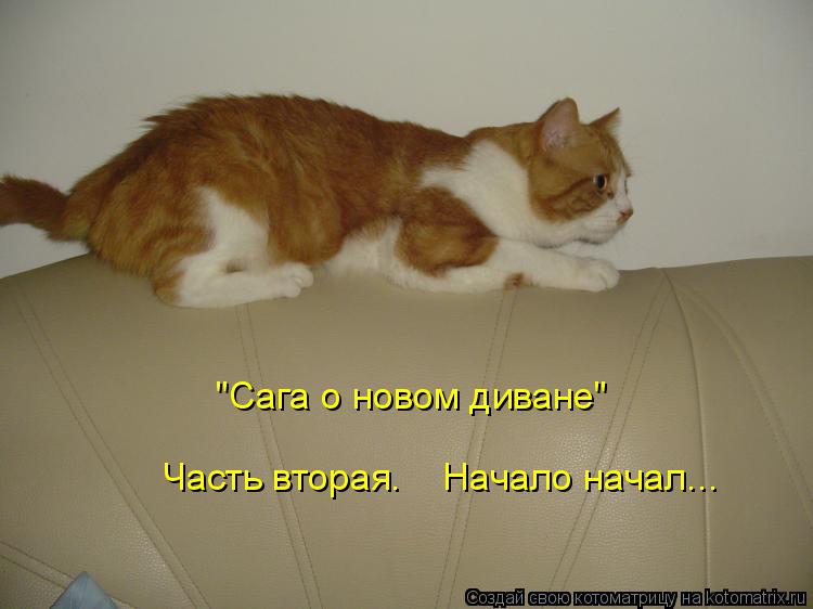 "Сага о новом диване" Часть вторая. Начало начал...... Котоматрица: "Сага о новом диване" Часть вторая. Начало начал...