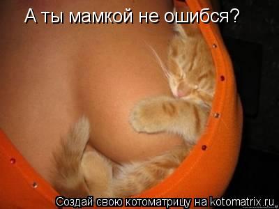 Котоматрица: А ты мамкой не ошибся?