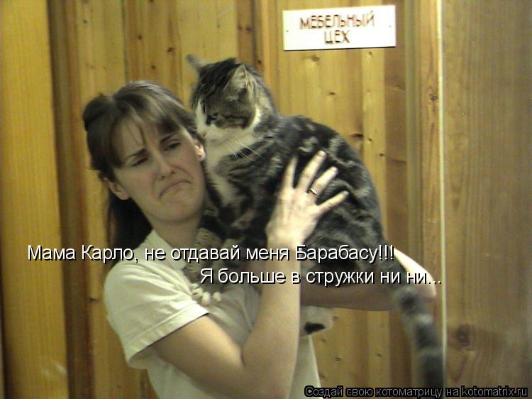 Котоматрица: Мама Карло, не отдавай меня Барабасу!!! Я больше в стружки ни ни...