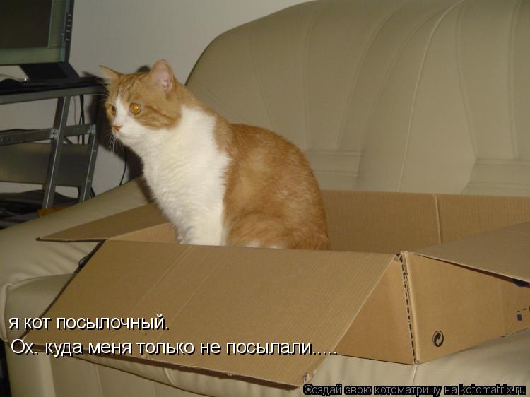 Котоматрица: я кот посылочный. Ох. куда меня только не посылали.....