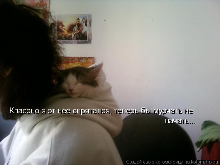 Котоматрица: Классно я от нее спрятался, теперь бы мурчать не начать...