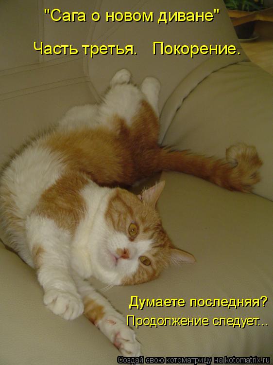 Котоматрица: "Сага о новом диване" Часть третья.   Покорение. Думаете последняя? Продолжение следует...  Продолжение следует...