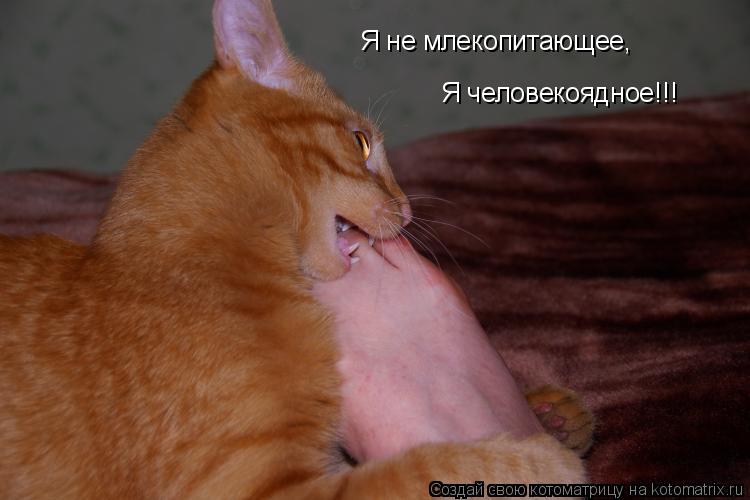 Котоматрица: Я не млекопитающее, Я человекоядное!!!