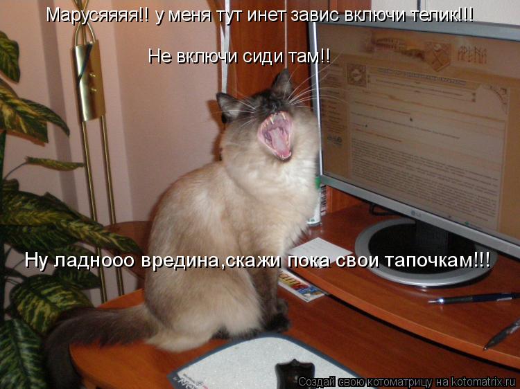 Котоматрица: Марусяяяя!! у меня тут инет завис включи телик!!!  Не включи сиди там!! Ну ладнооо вредина,скажи пока свои тапочкам!!!