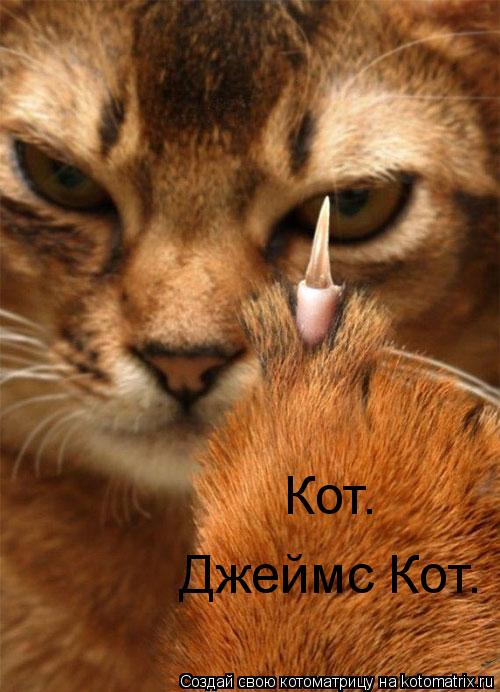 Котоматрица: Кот. Джеймс Кот.