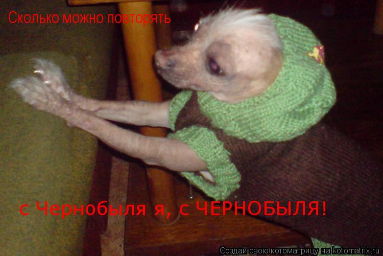 Котоматрица: Сколько можно повторять с Чернобыля я, с ЧЕРНОБЫЛЯ!