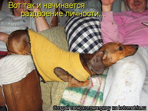 Котоматрица: Вот так и начинается  раздвоение личности...