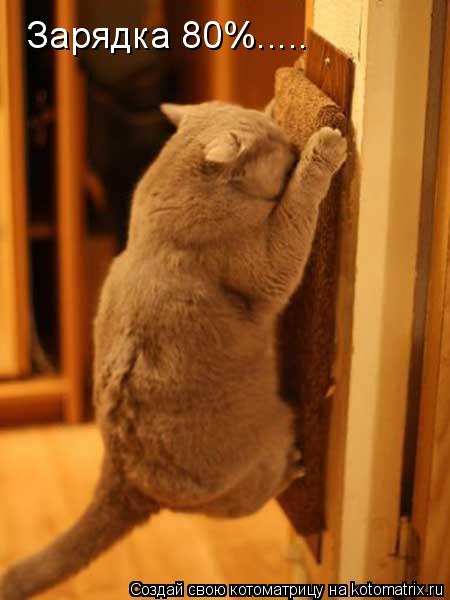 Котоматрица: Зарядка 80%.....