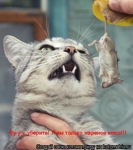 Котоматрица: Фу-у-у, уберите Фу-у-у, уберите! Я ем только жареное мясо!!!