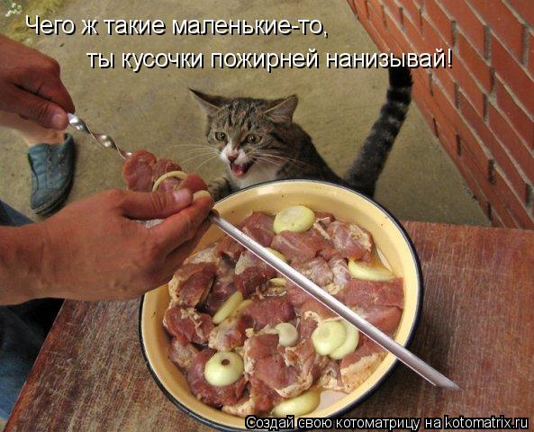 Котоматрица: Чего ж такие маленькие-то, ты кусочки пожирней нанизывай!