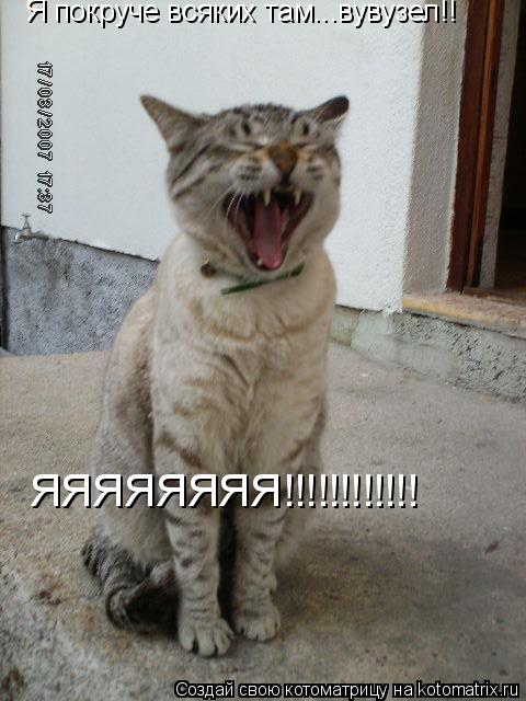 Котоматрица: Я покруче всяких там...вувузел!! ЯЯЯЯЯЯЯЯ!!!!!!!!!!!!