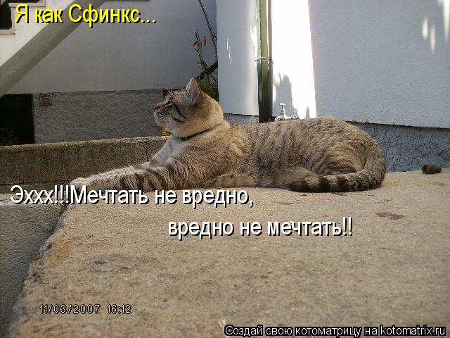 Котоматрица: Я как Сфинкс... Эххх!!!Мечтать не вредно, вредно не мечтать!!