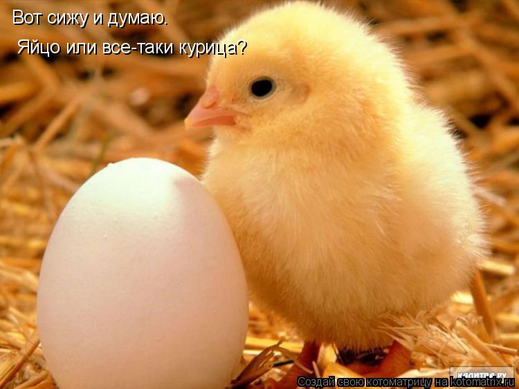 Котоматрица: Вот сижу и думаю. Яйцо или все-таки курица?