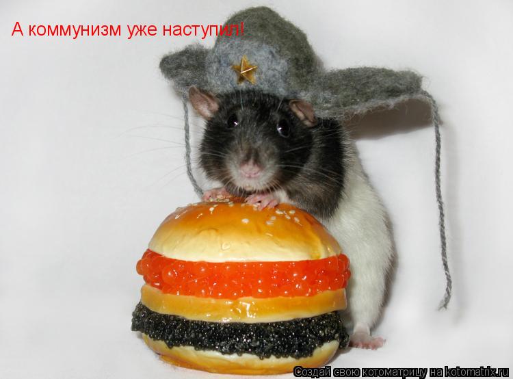 Котоматрица: А коммунизм уже наступил!