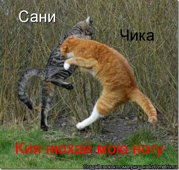 Кия нюхай мою ногу Сани Сани Чика... Котоматрица: Кия нюхай мою ногу Сани Сани Чика