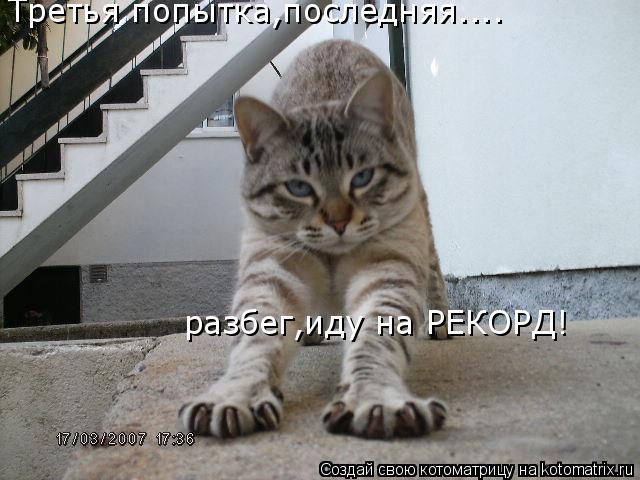 Третья попытка,последняя.... разбег,иду на РЕКОРД!... Котоматрица: Третья попытка,последняя.... разбег,иду на РЕКОРД!