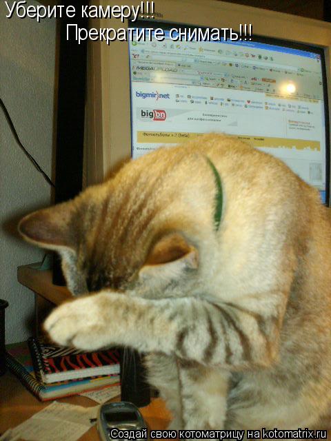 Уберите камеру!!! Прекратите снимать!!!... Котоматрица: Уберите камеру!!! Прекратите снимать!!!