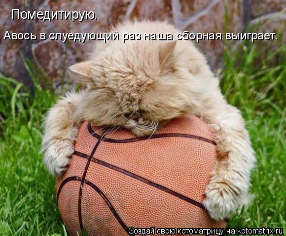 Помедитирую. Авось в слуедующий раз наша сборная выиграет.... Котоматрица: Помедитирую. Авось в слуедующий раз наша сборная выиграет.